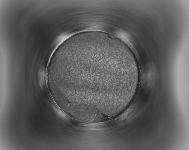 X0000086281284200704122041