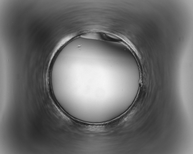 X0000086281285200704122041