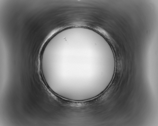 X0000086281286200704122040