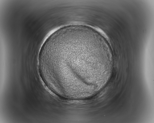 X0000086281287200704122040