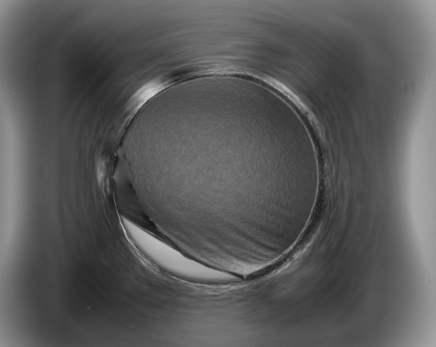 X0000086281289200704122040