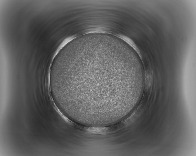 X0000086281290200704122040