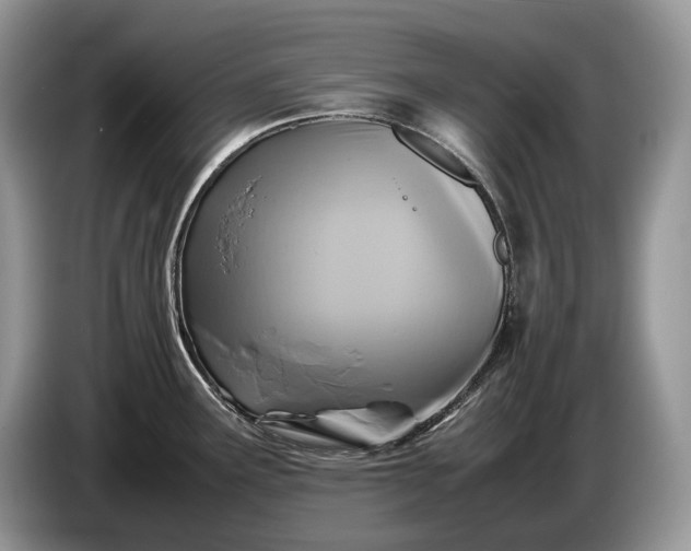 X0000086281291200704122040