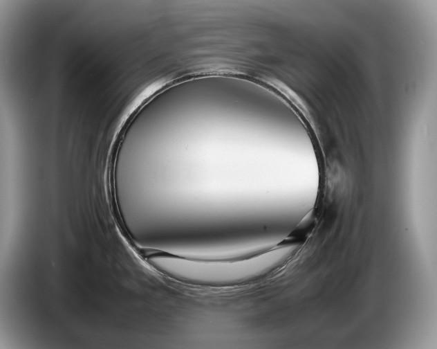 X0000086281293200704122040