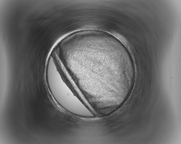 X0000086281296200704122040