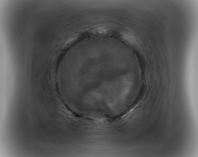 X0000086281297200704122040