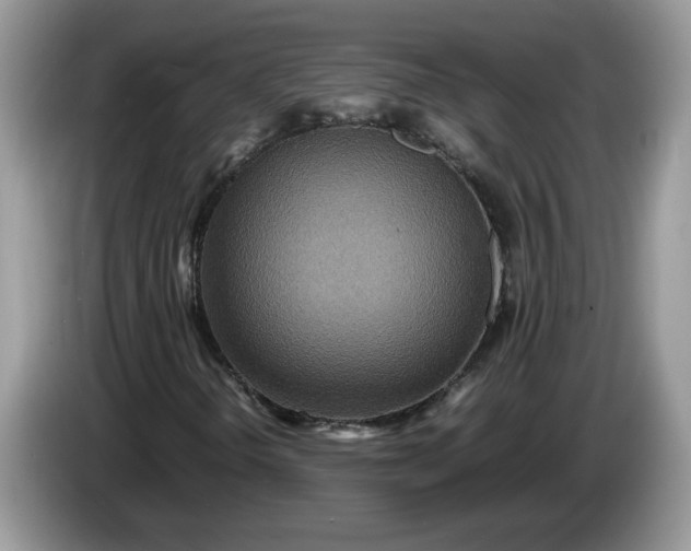 X0000086281298200704122040