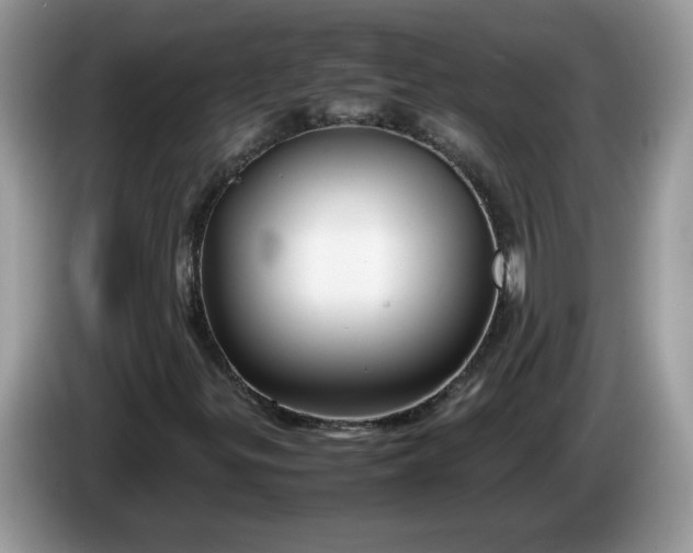 X0000086281299200704122040