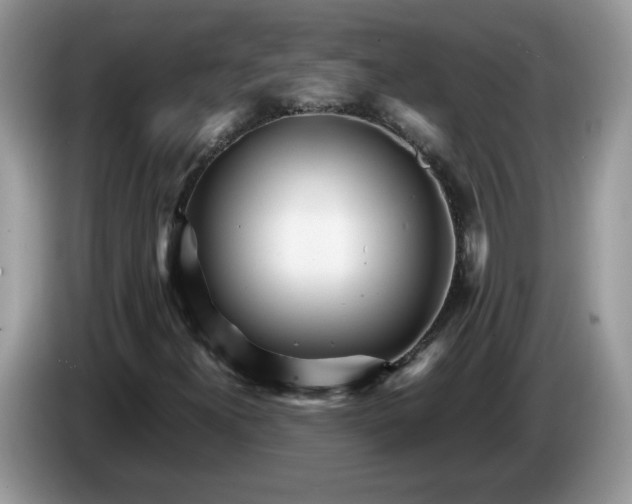 X0000086281300200704122040