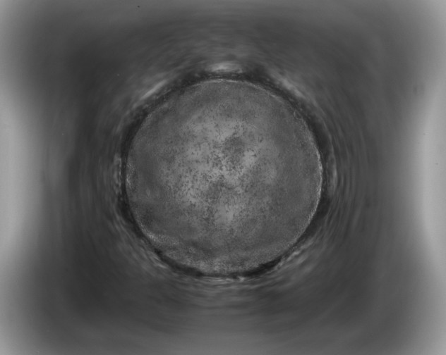 X0000086281301200704122040