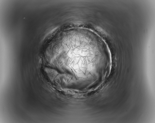 X0000086281302200704122040