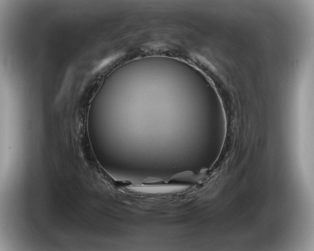 X0000086281303200704122040