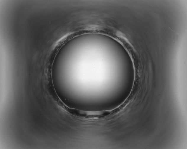 X0000086281304200704122040