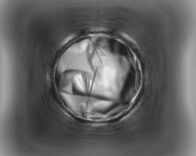 X0000086281305200704122040