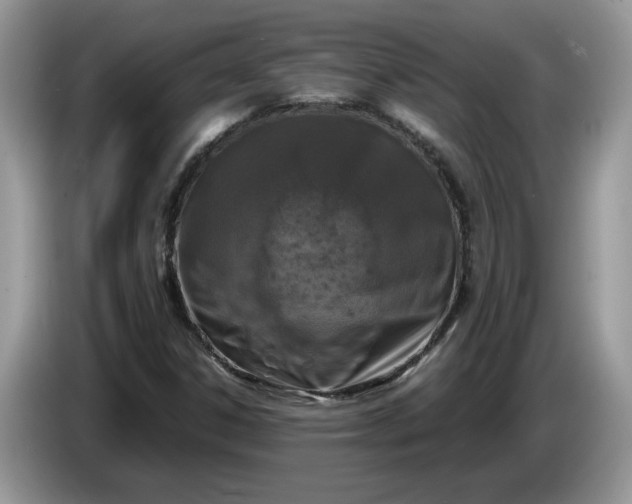 X0000086281306200704122040