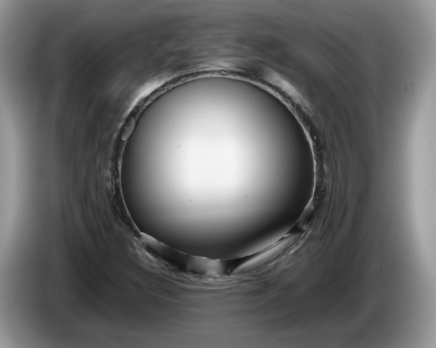 X0000086281308200704122040