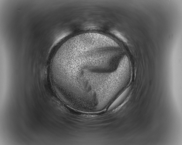 X0000086281309200704122040