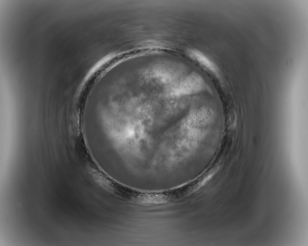 X0000086281310200704122040