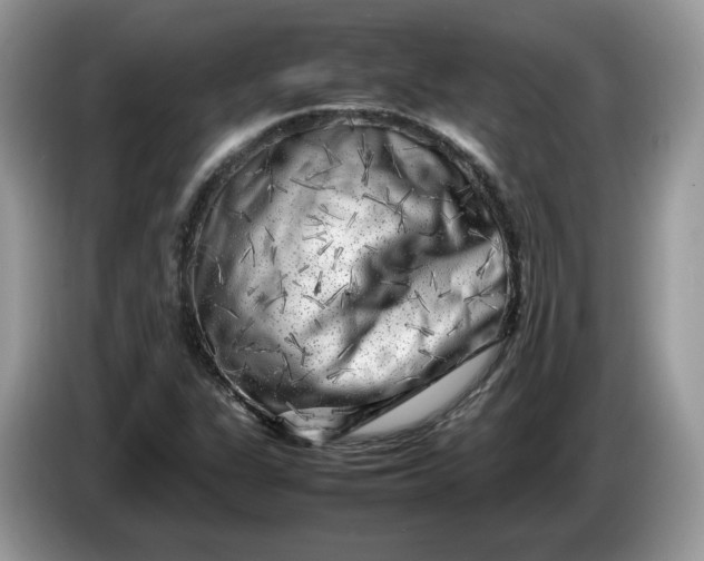 X0000086281311200704122040