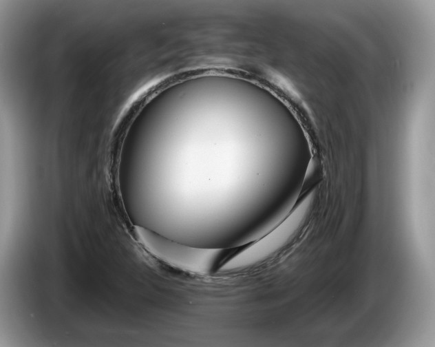 X0000086281312200704122040