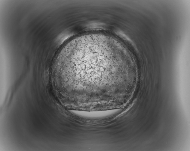 X0000086281313200704122040