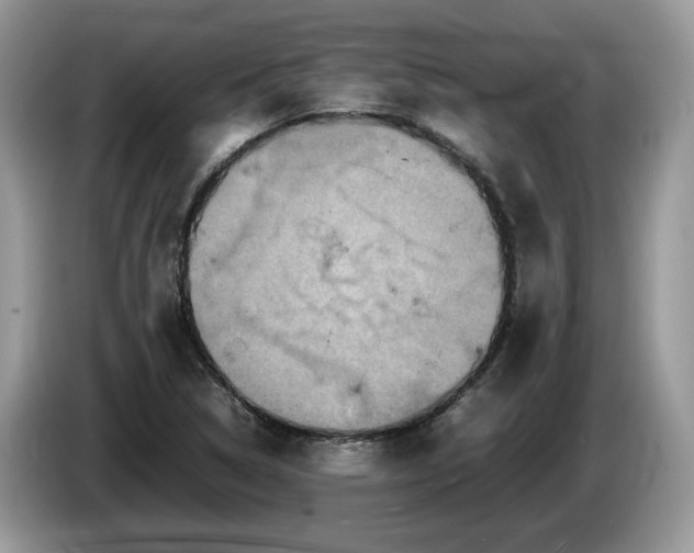 X0000086281314200704122040