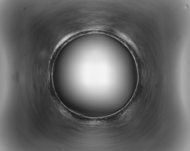 X0000086281316200704122040