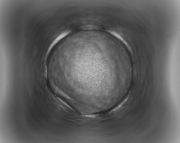 X0000086281317200704122040