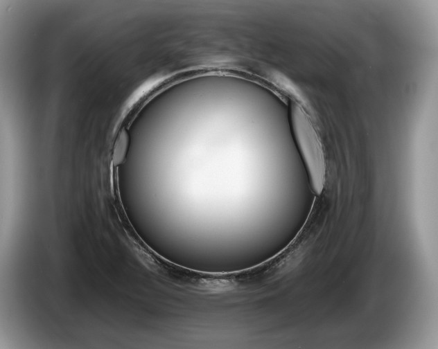 X0000086281320200704122040