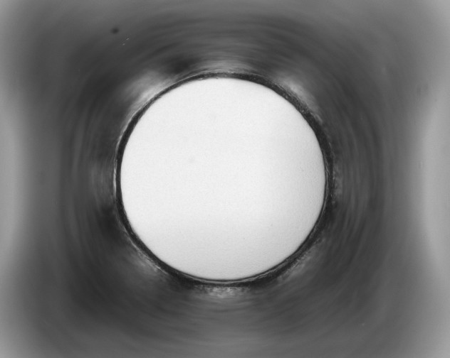 X0000086281322200704122040