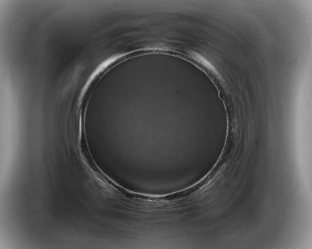 X0000086281323200704122040