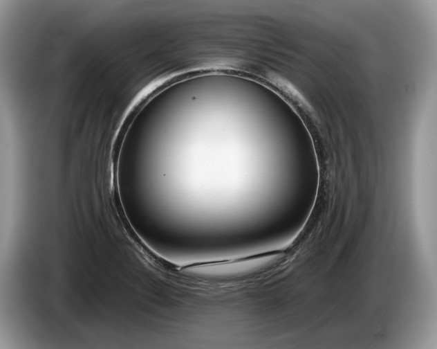 X0000086281324200704122040