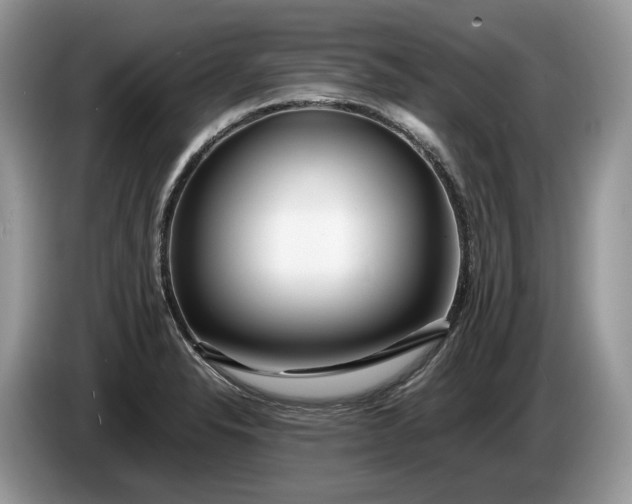 X0000086281326200704122040