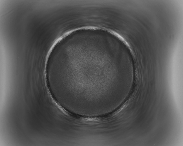 X0000086281327200704122040