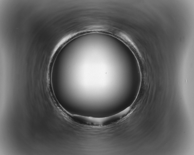 X0000086281328200704122040