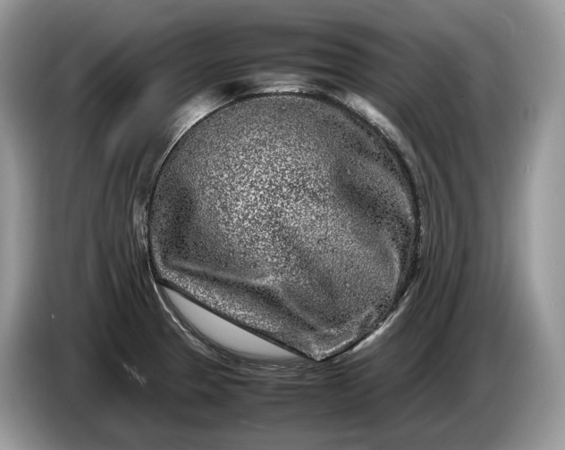 X0000086281329200704122040