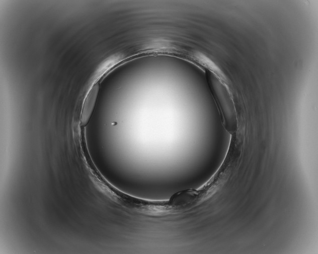 X0000086281330200704122040