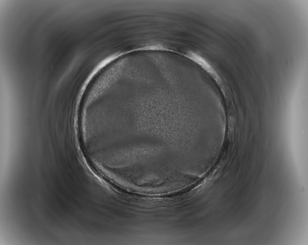 X0000086281331200704122040