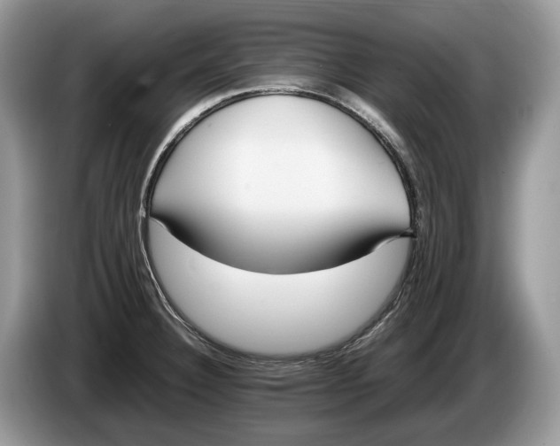 X0000086281332200704122040