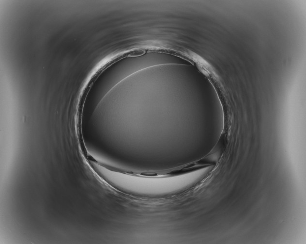 X0000086281334200704122040