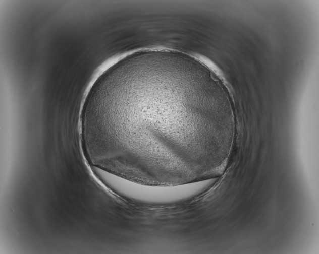 X0000086281335200704122040