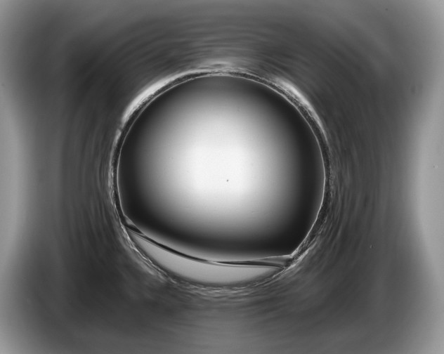 X0000086281336200704122040