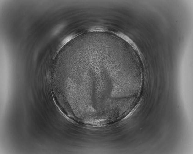 X0000086281337200704122040