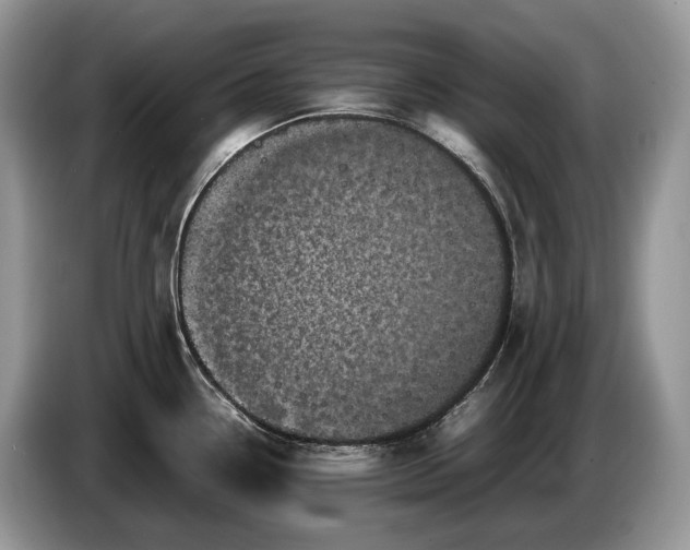 X0000086281338200704122040