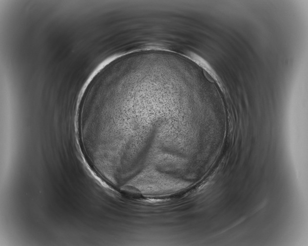 X0000086281339200704122040