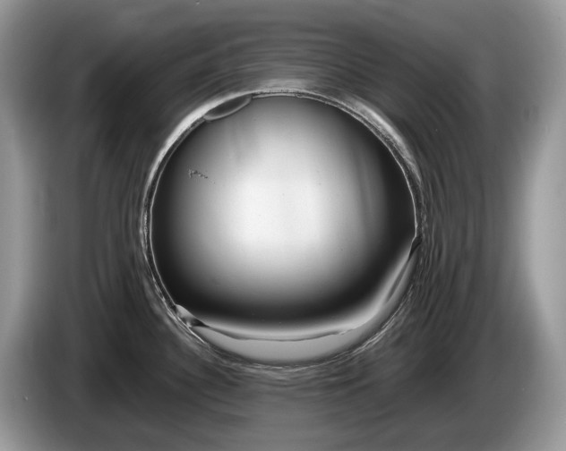 X0000086281340200704122040