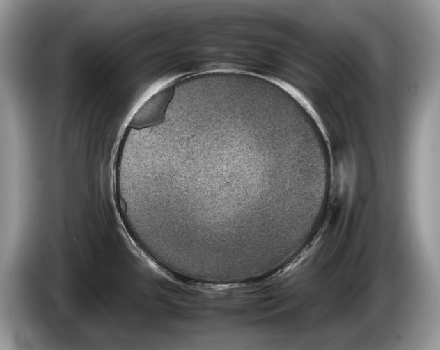 X0000086281341200704122040