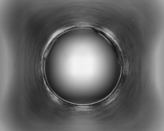 X0000086281342200704122040