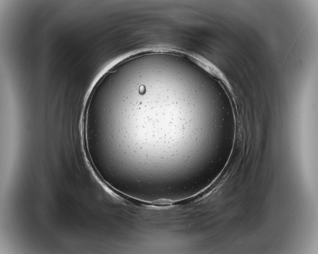 X0000086281343200704122040