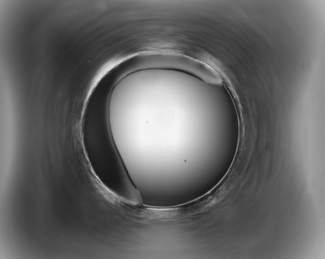 X0000086281344200704122040